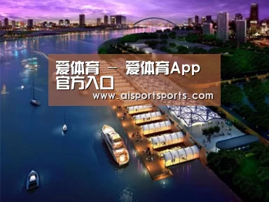 案例展示八