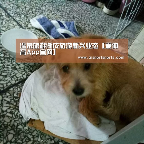 温泉旅游渐成旅游新兴业态【爱体育App官网】