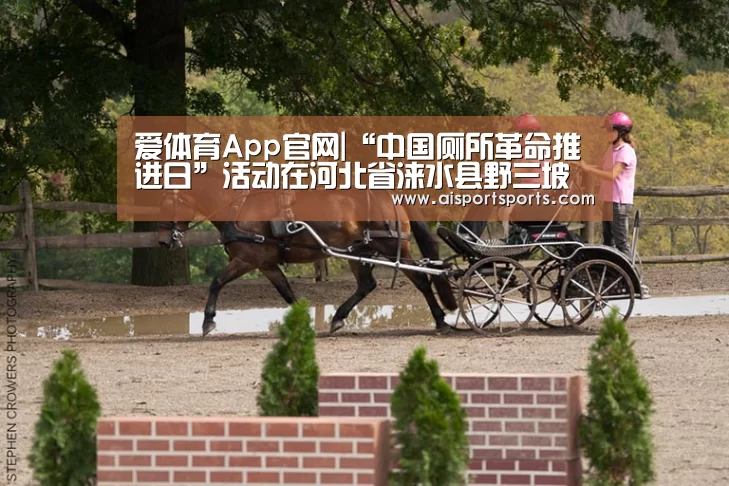爱体育App官网|“中国厕所革命推进日”活动在河北省涞水县野三坡镇苟各庄村举行(图1) 爱体育Appapp